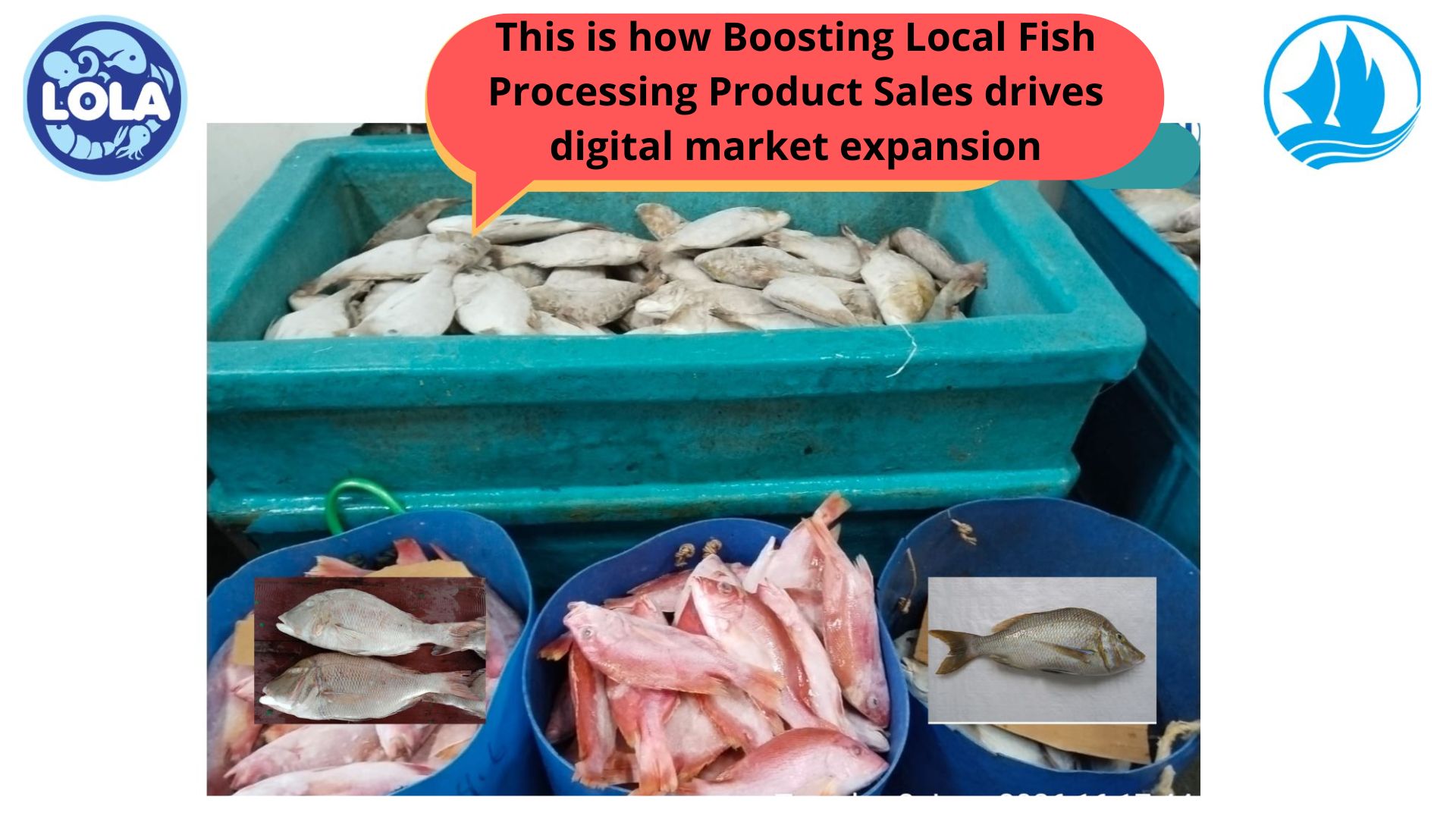 This is how Boosting Local Fish Processing Product Sales drives digital market expansion